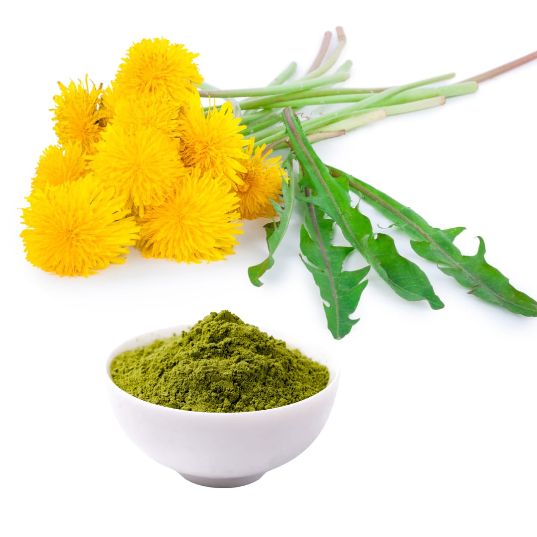 IMG-20260801-WA0006.jpg Dandelion Powder - Image 1