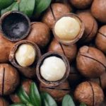 Macadamia nuts